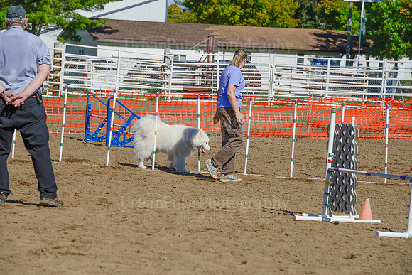 AGILITY-2109
