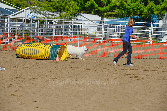 AGILITY-2137