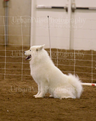 SCA2016_AG MON FAST NOVICE-3530