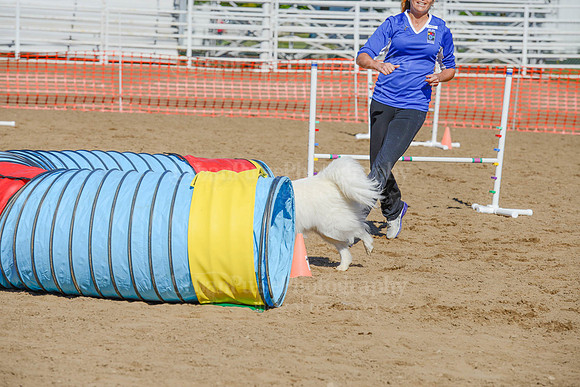 AGILITY-2147