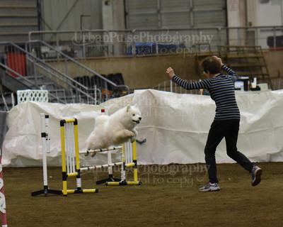 SCA2016_AG MON FAST NOVICE-0110