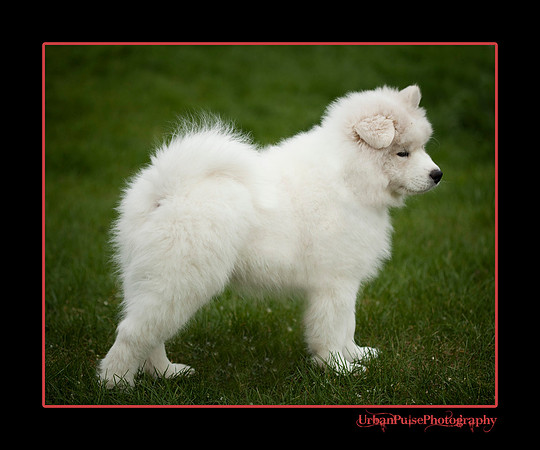 GreenBoy_10wks_web_0562