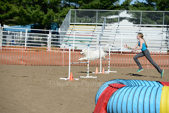 AGILITY-1931