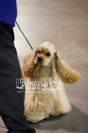Fargo_2011-4208
