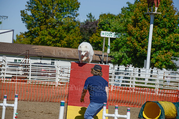 AGILITY-2391