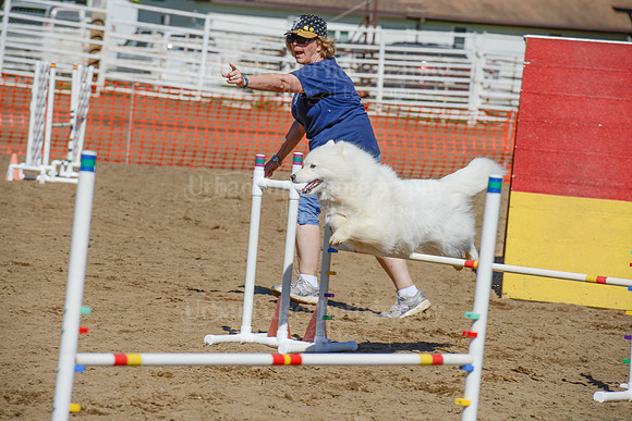 AGILITY-2393