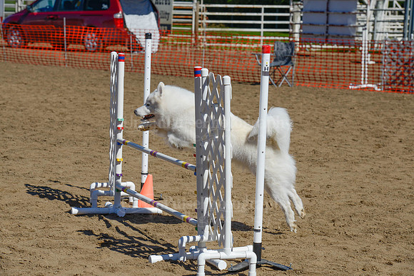 AGILITY-2312