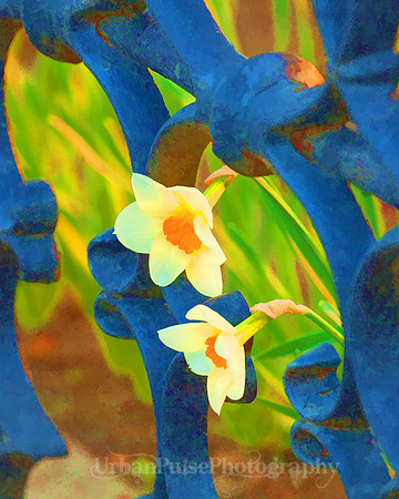 Mystic CT flowers_2672