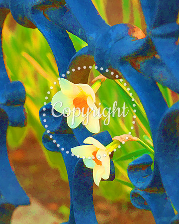 MYSTIC FLOWERS