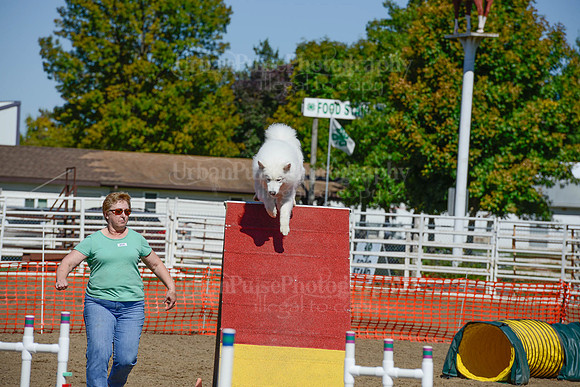 AGILITY-2343
