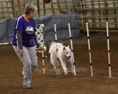SCA2016_AG MON FAST NOVICE-0097