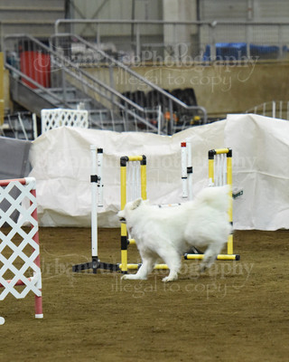 SCA2016_AG MON FAST NOVICE-0109