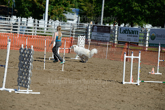 AGILITY-1927