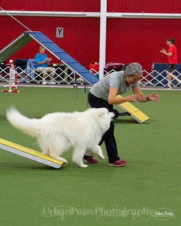 AGILITY_9445