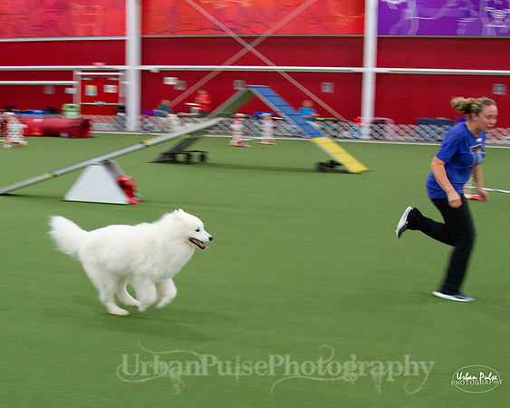 AGILITY_9476