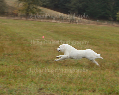 SCA2016_LURE COURSING-7680