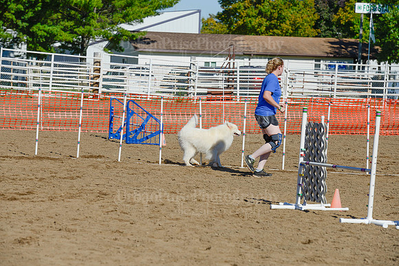 AGILITY-2029