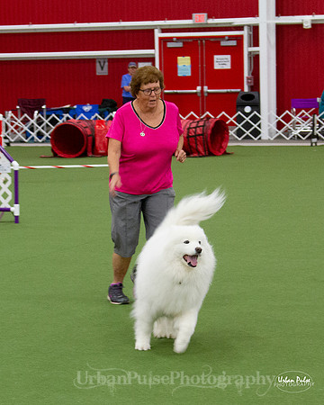 AGILITY_9494