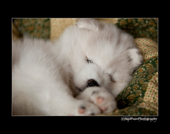 Keats_6weeks_0242