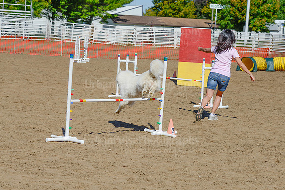 AGILITY-2247