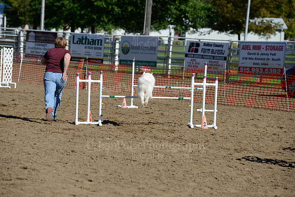 AGILITY-1993
