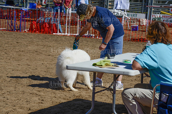 AGILITY-2270