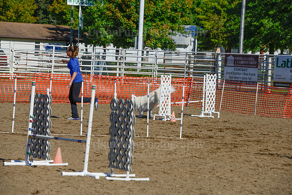 AGILITY-2130
