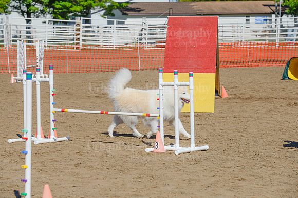 AGILITY-2226