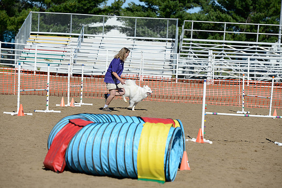 AGILITY-1904