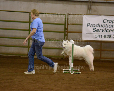 SCA2016_AG MON FAST NOVICE-3544