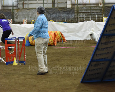 SCA2016_AG MON FAST NOVICE-0118