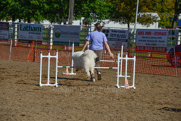 AGILITY-2101