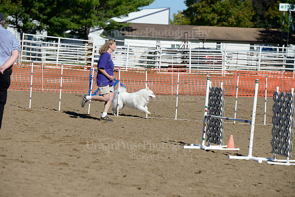 AGILITY-1906