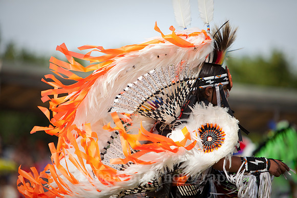 Wacipi_2011-2414