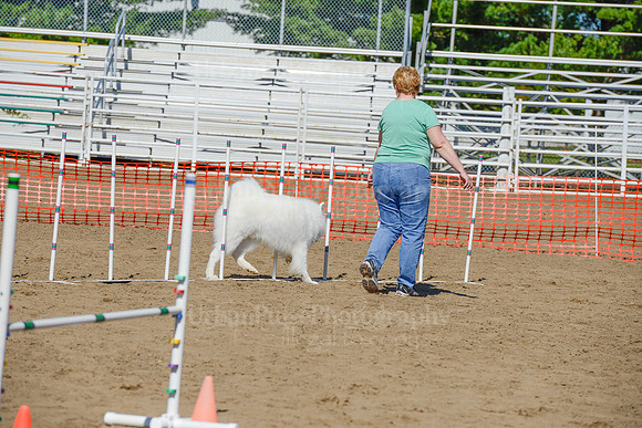 AGILITY-2350