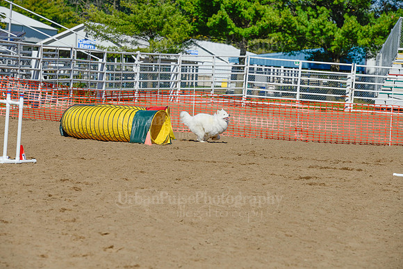 AGILITY-2054