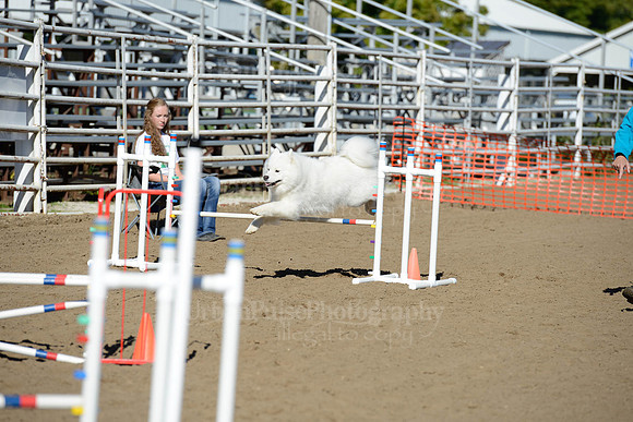 AGILITY-1882