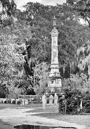 Savannah_9873