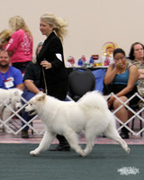 D OPEN-8697 2014 SCA National - 3rd PL