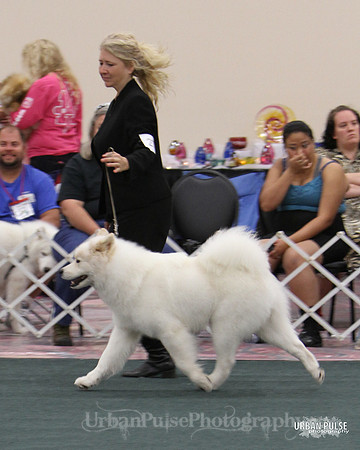 D OPEN-8697 2014 SCA National - 3rd PL