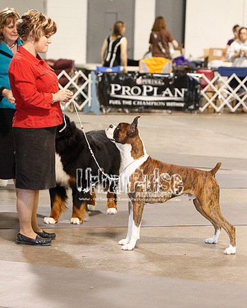 Fargo_2011-4114