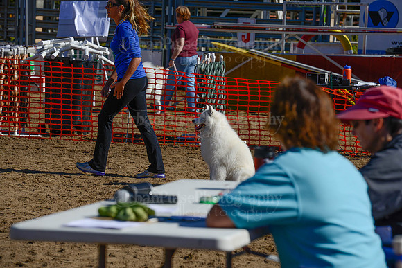 AGILITY-2121