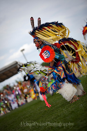 Wacipi_2011-2384
