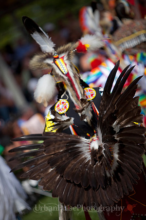 Wacipi_2011-2121