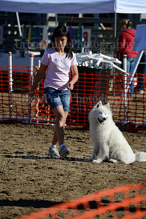 AGILITY-1849