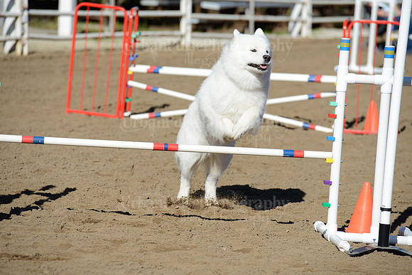 AGILITY-1885