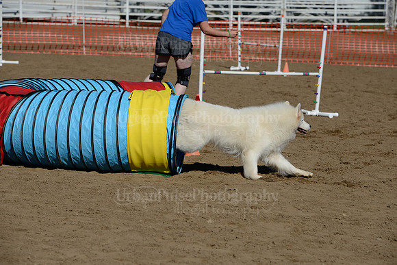 AGILITY-2035