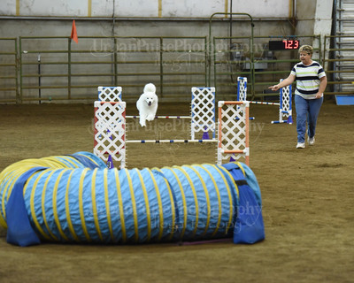 SCA2016_AG MON JWW NOVICE-1185