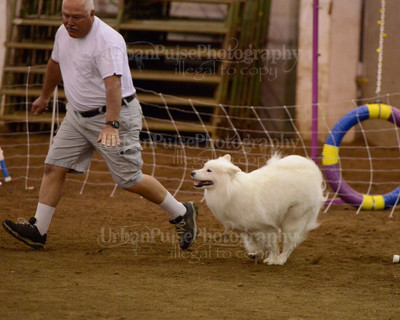 SCA2016_AG MON FAST NOVICE-3522