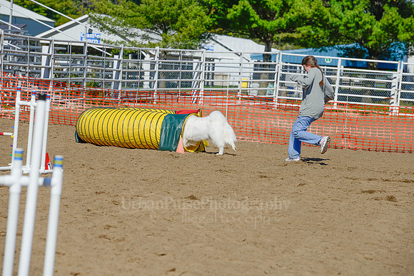 AGILITY-2165